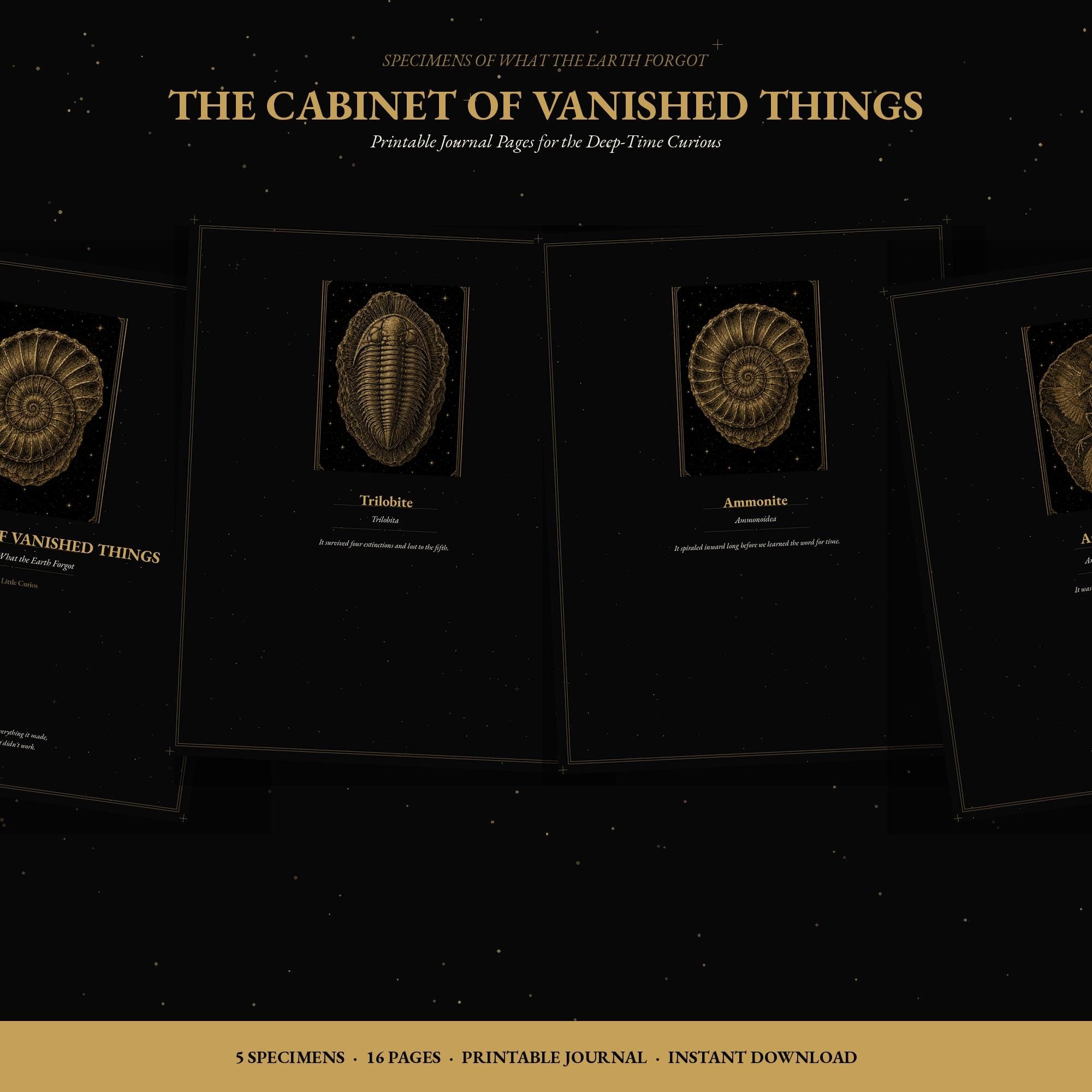 The Cabinet Of Vanished Things, Fossil Journal Pages | Dark Academia Printable | Dot Grid, Lined Paper