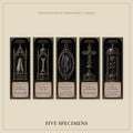 Relics of the Saints Bookmark | Dark Academia Set of 5 | Standard or Magnetic | Gothic Cabinet of Curiosities