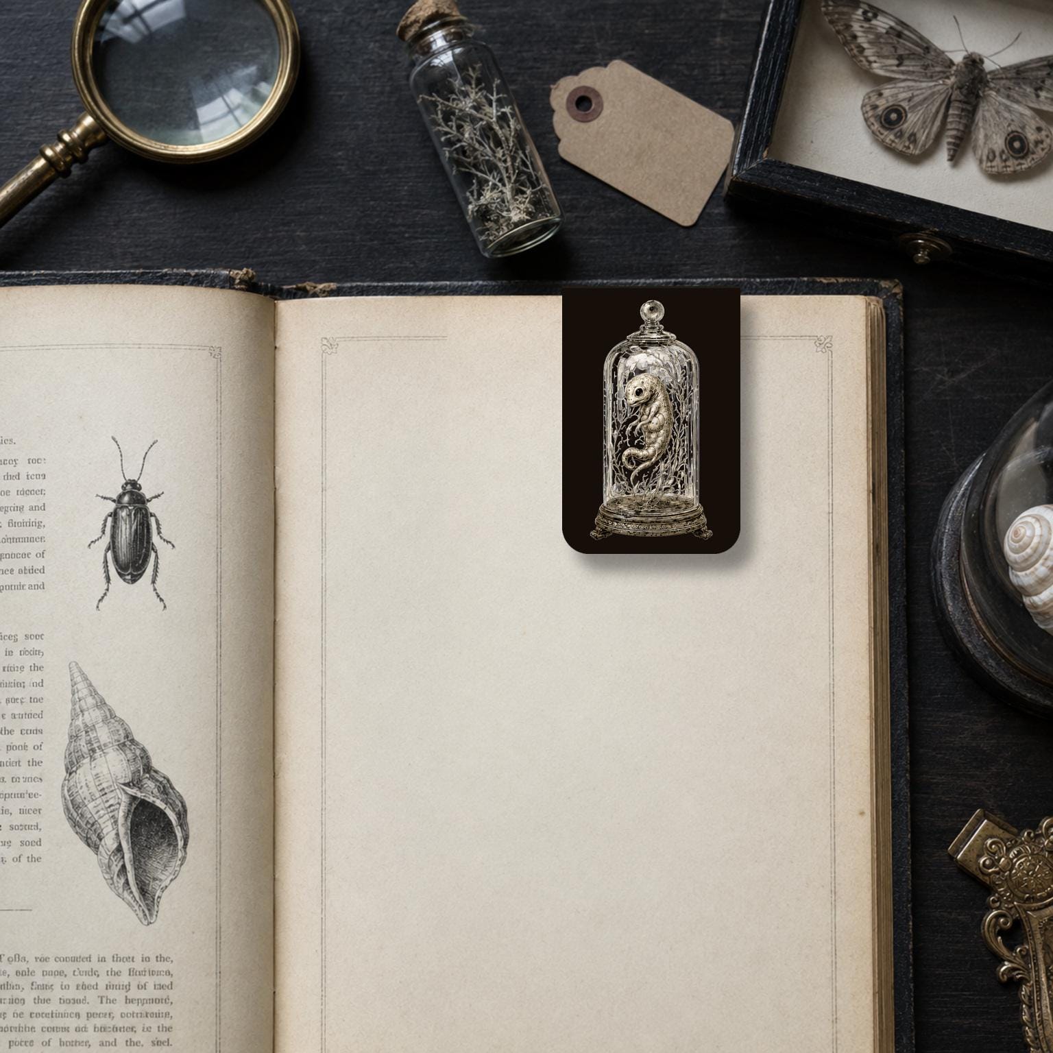 Wonders of Impossible Life Bookmark | Dark Academia Set of 5 | Standard or Magnetic | Gothic Cabinet of Curiosities