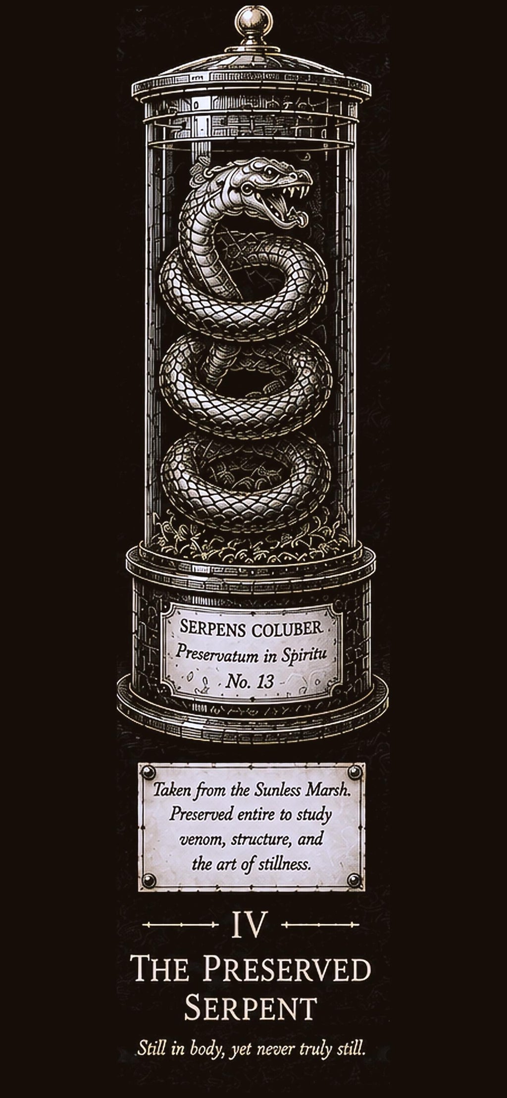 Apothecary Cabinet Phone Wallpaper Bundle | Dark Academia Lock Screen (Digital Download)