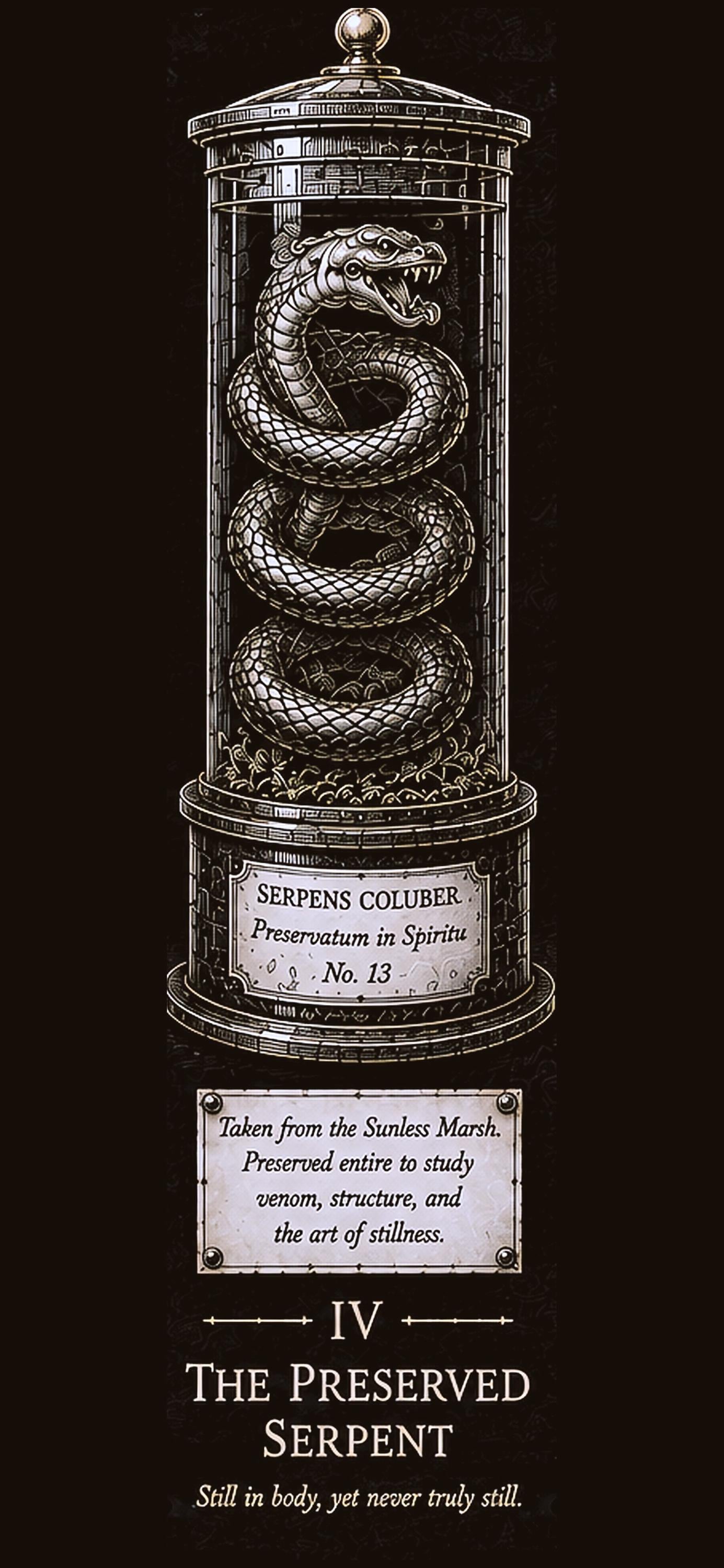 Apothecary Cabinet Phone Wallpaper Bundle | Dark Academia Lock Screen (Digital Download)