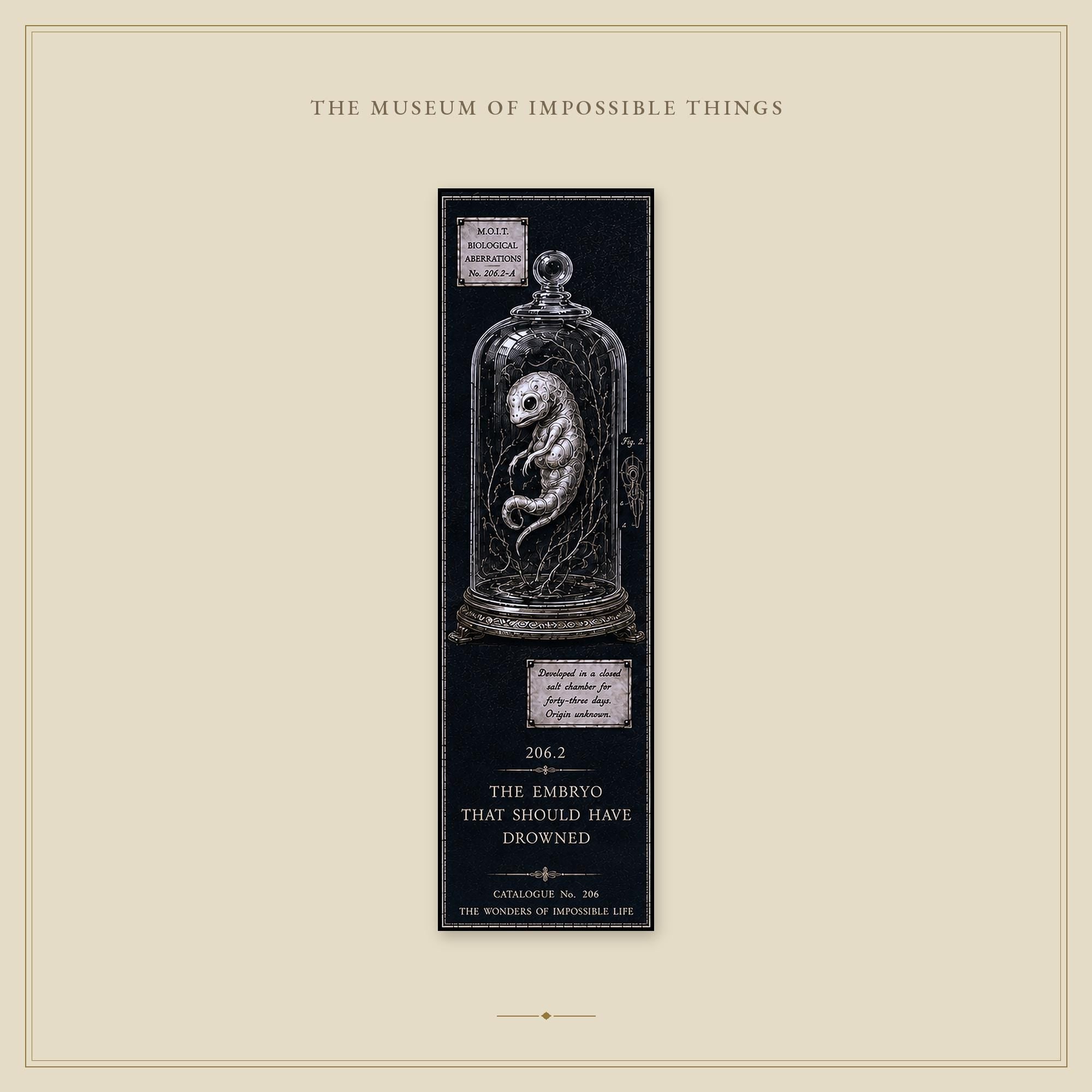 Wonders of Impossible Life Bookmark | Dark Academia Set of 5 | Standard or Magnetic | Gothic Cabinet of Curiosities