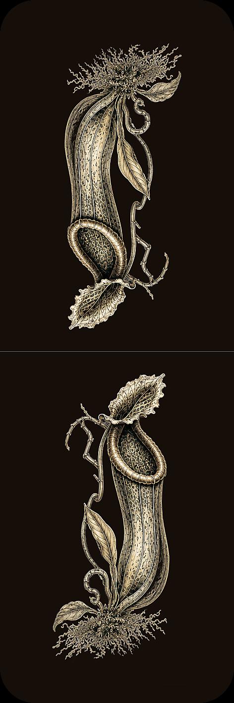 Strange Flora Bookmark | Dark Academia Set of 5 | Standard or Magnetic | Gothic Cabinet of Curiosities