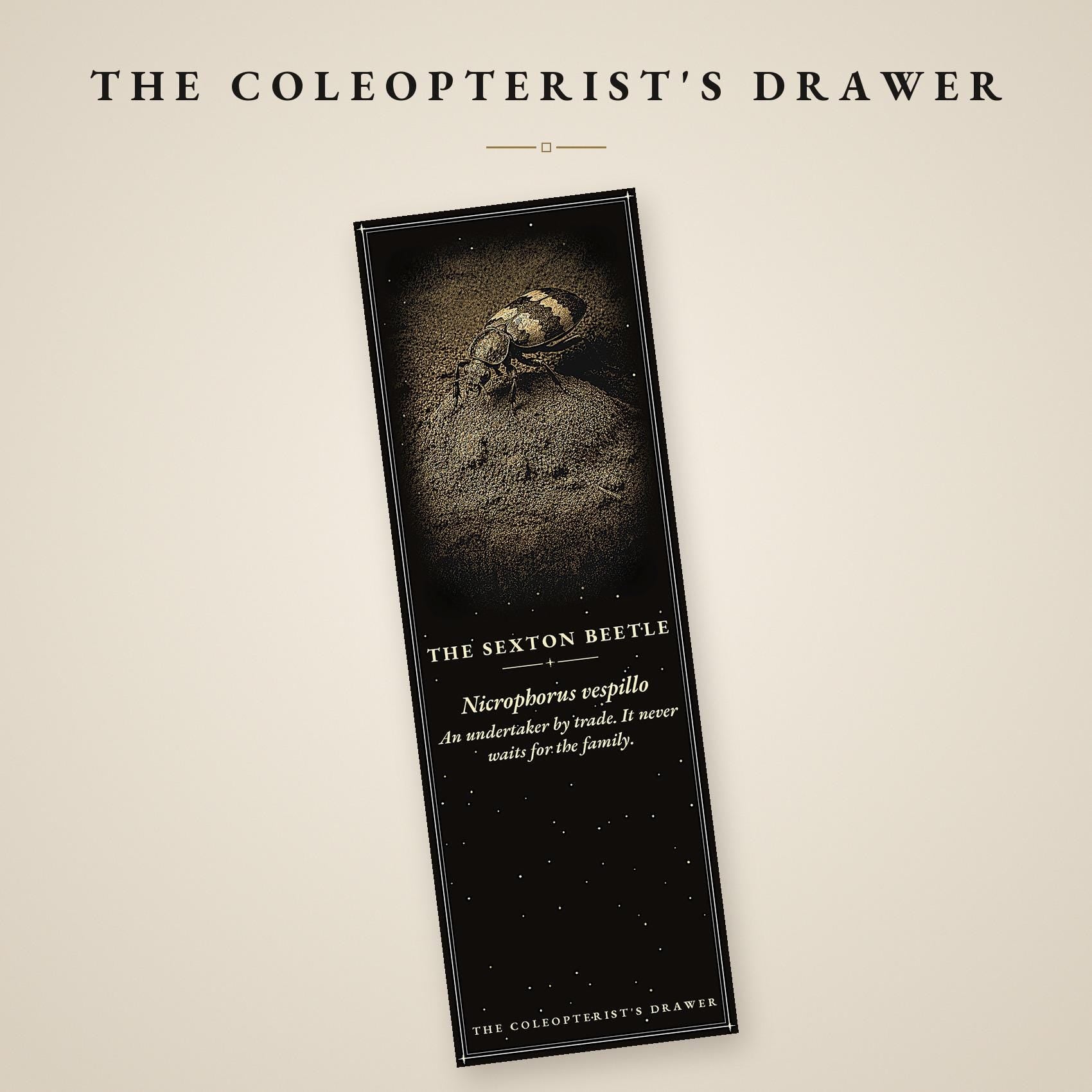 The Coleopterist's Drawer: Dark Academia Beetle Bookmarks | Gothic Printable | Digital Download, Occult Stationery