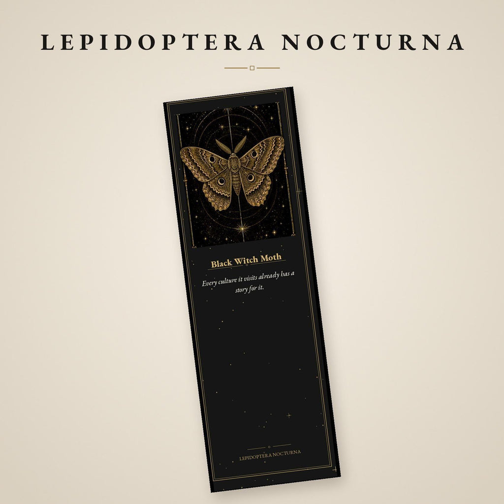 Lepidoptera Nocturna Bookmark, Victorian Moth Specimens | Gold Linework | Dark Academia Page Marker | Magnetic Option