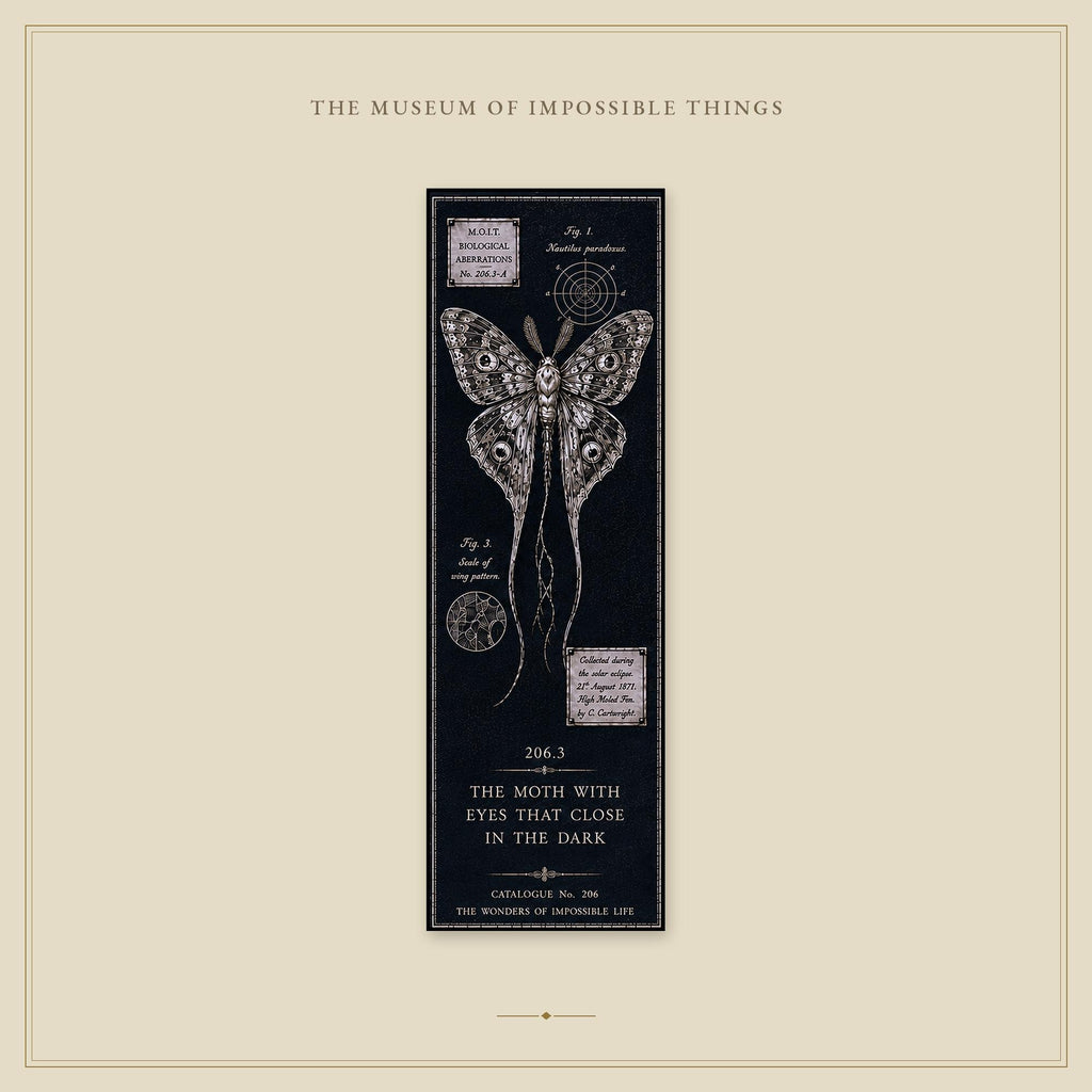 Wonders of Impossible Life Bookmark | Dark Academia Set of 5 | Standard or Magnetic | Gothic Cabinet of Curiosities