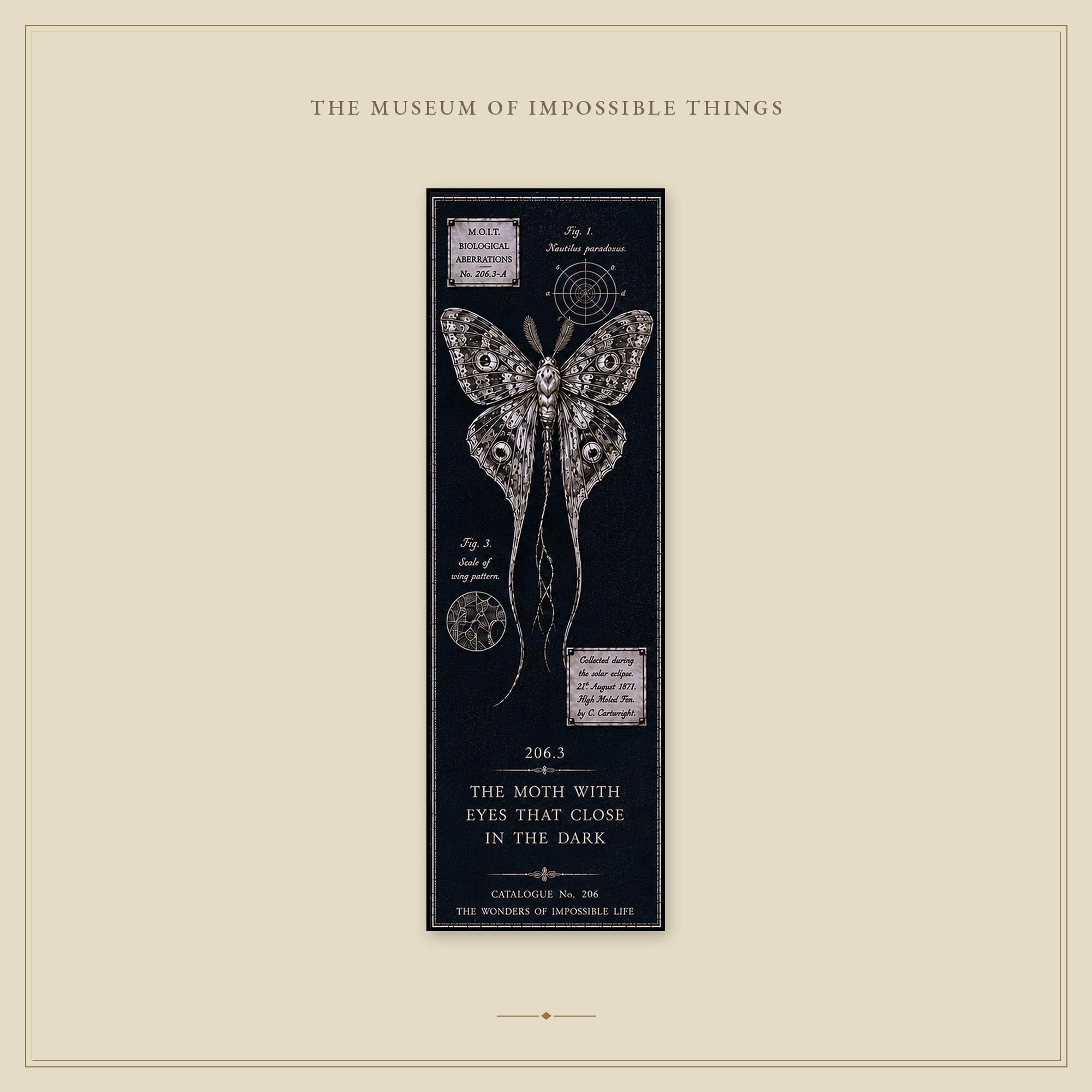 Wonders of Impossible Life Bookmark | Dark Academia Set of 5 | Standard or Magnetic | Gothic Cabinet of Curiosities