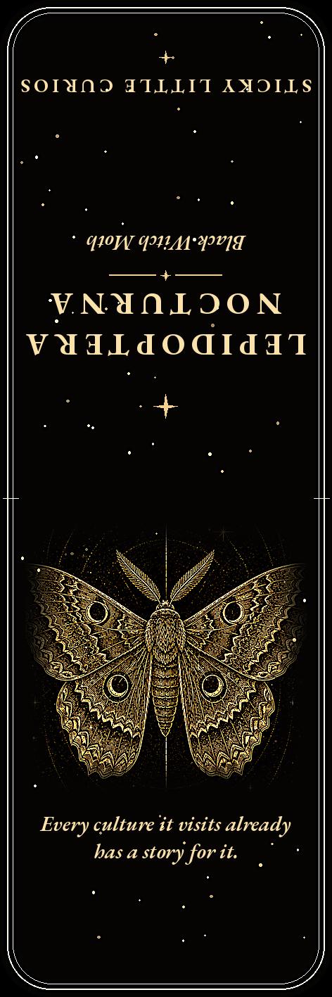 Lepidoptera Nocturna Bookmark | Dark Academia Moth Specimen Bookmark | Standard or Magnetic Page Marker