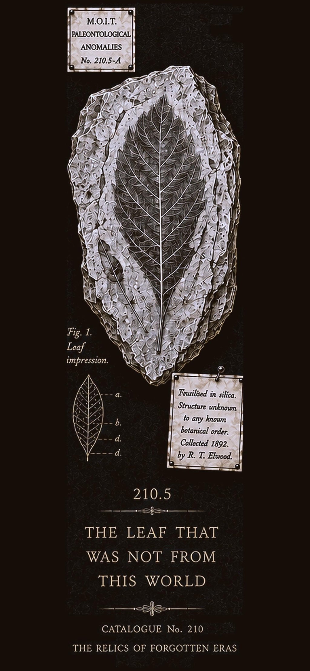 Relics of Forgotten Eras, Dark Academia Lock Screen | Specimen Collection, Gothic Phone Wallpaper, Instant Download