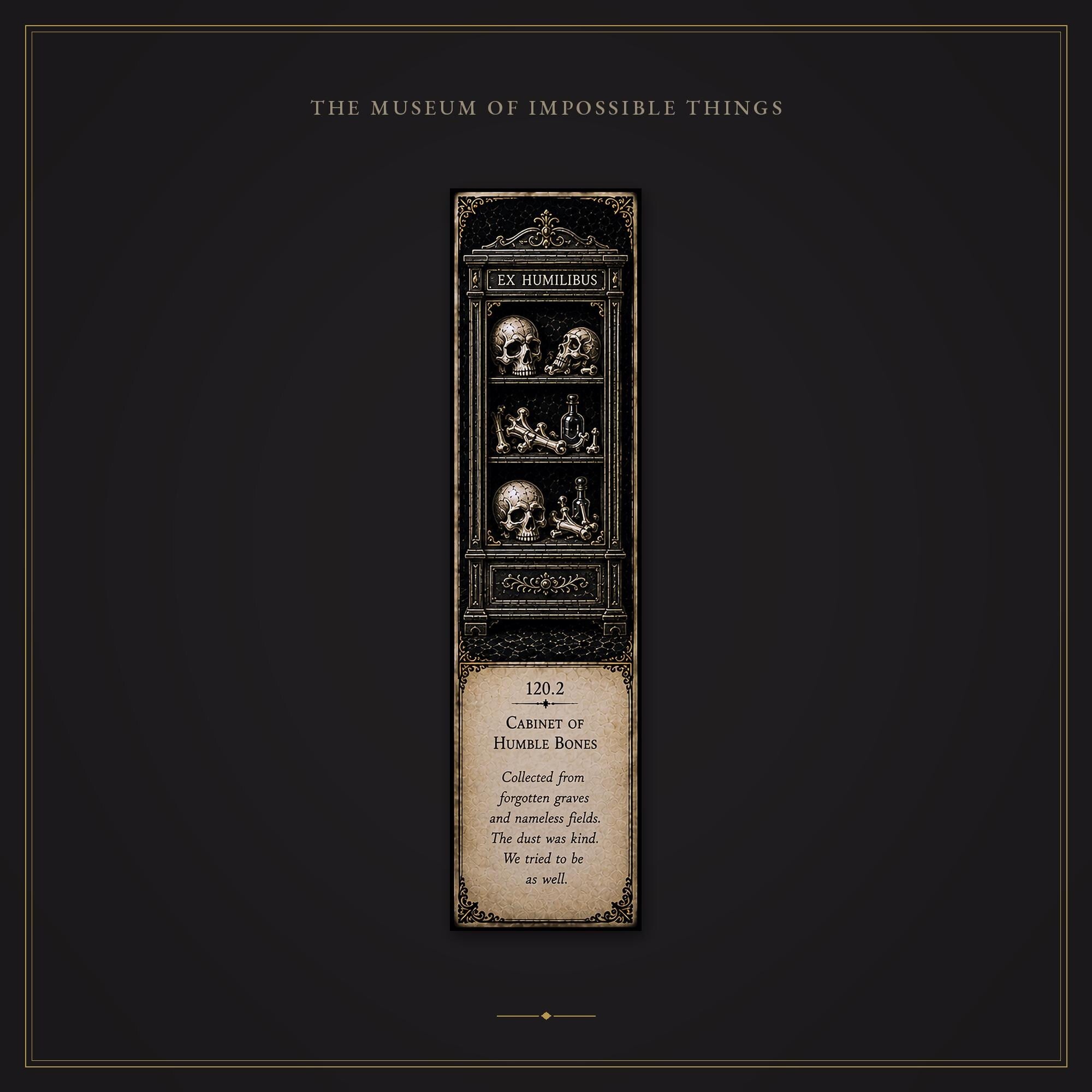 The Bone Custodian Bookmark | Dark Academia Set of 5 | Standard or Magnetic | Gothic Cabinet of Curiosities