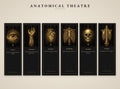 Anatomical Theatre Bookmark, Memento Mori Art | Dark Academia | Gold On Black | Page Marker | Vanitas Gift