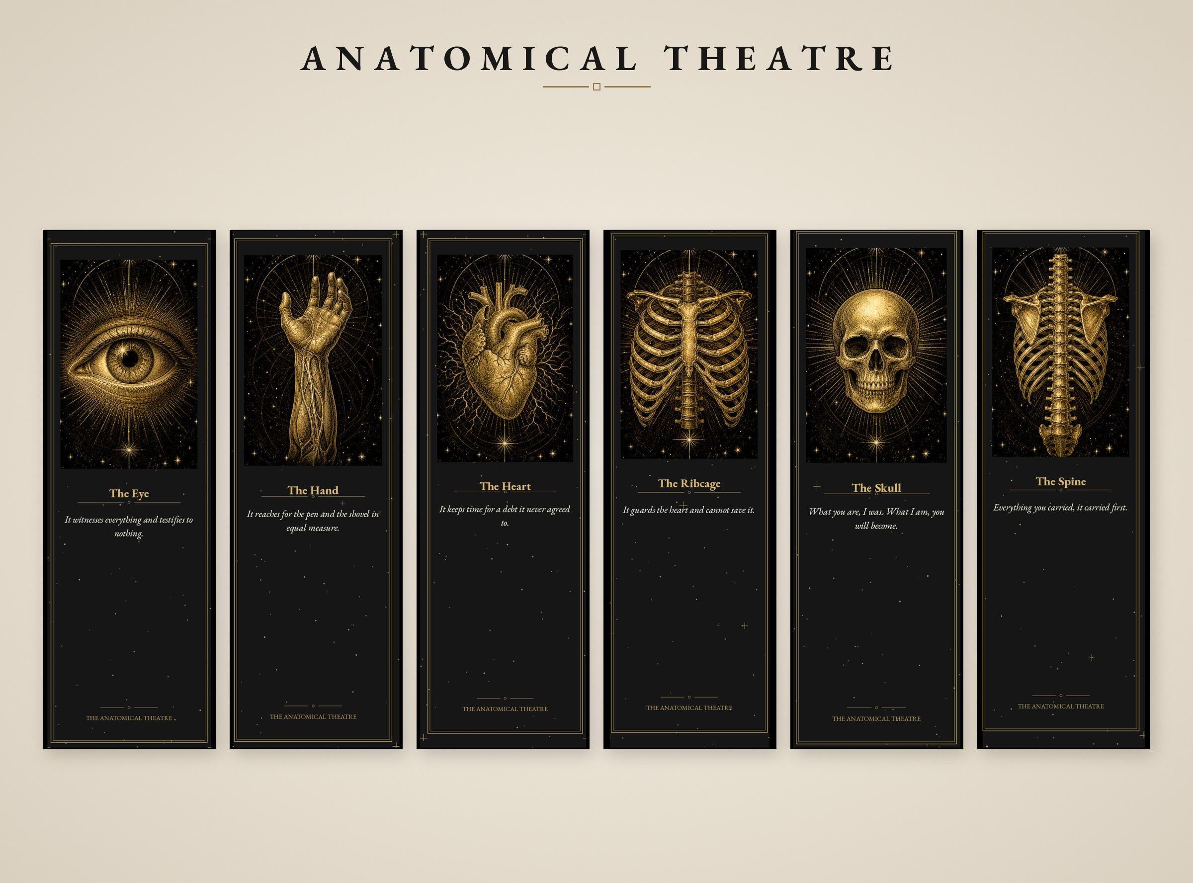 Anatomical Theatre Bookmark, Memento Mori Art | Dark Academia | Gold On Black | Page Marker | Vanitas Gift