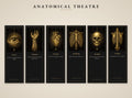 The Anatomical Theatre Printable Bookmarks | Dark Academia Vanitas Bookmark Set | Memento Mori Gothic Digital Download