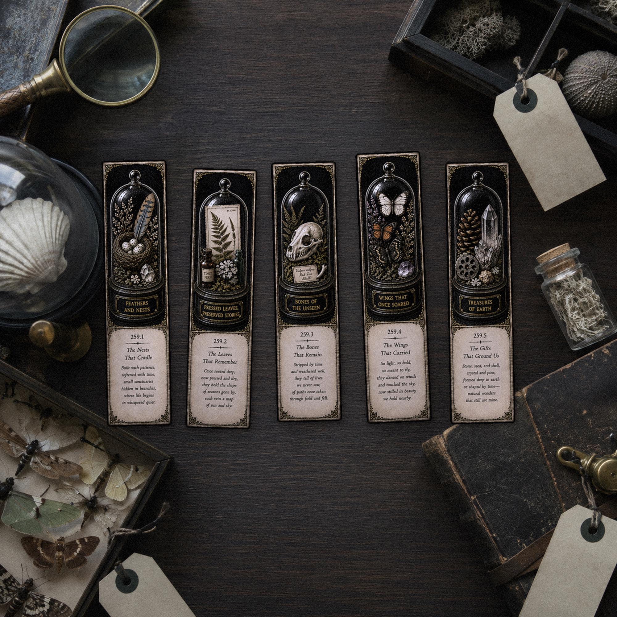 Wonders of the Wild Bookmark | Dark Academia Set of 5 | Standard or Magnetic | Gothic Cabinet of Curiosities