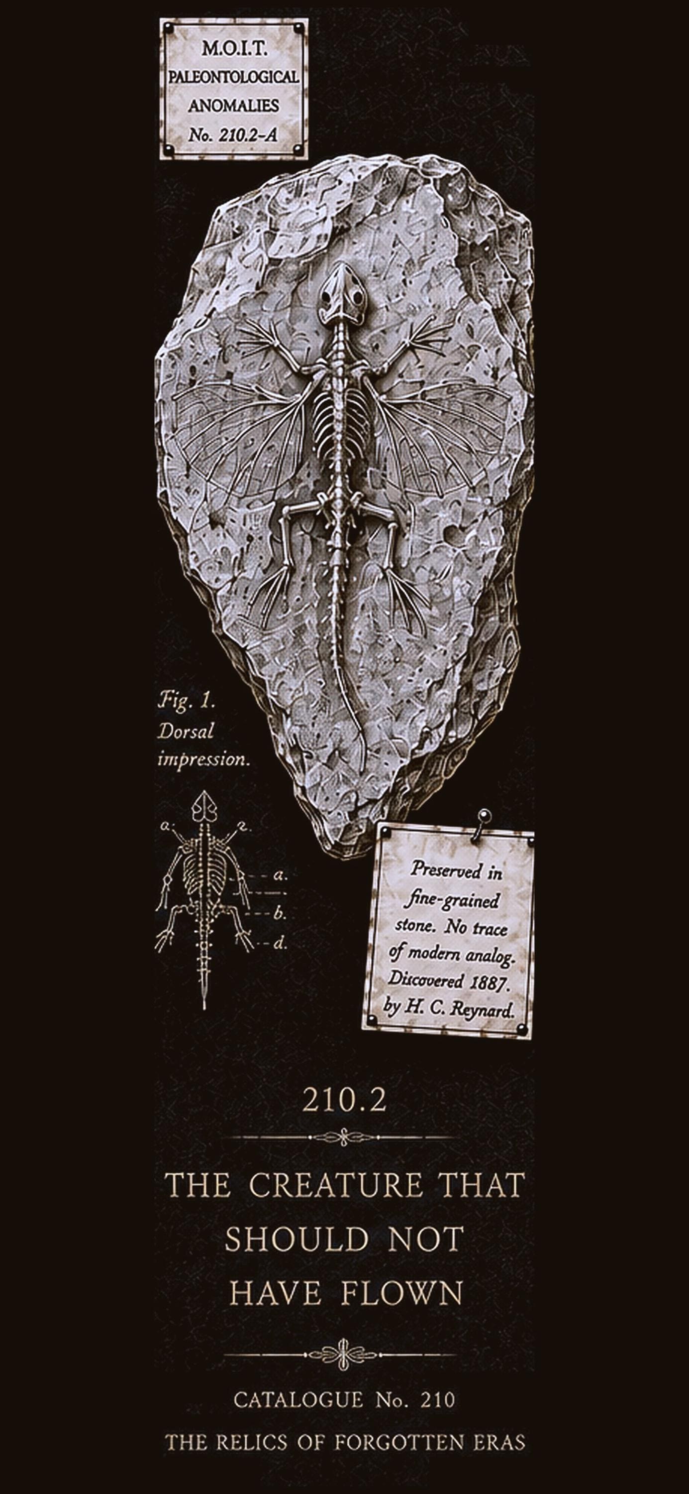 Relics of Forgotten Eras, Dark Academia Lock Screen | Specimen Collection, Gothic Phone Wallpaper, Instant Download