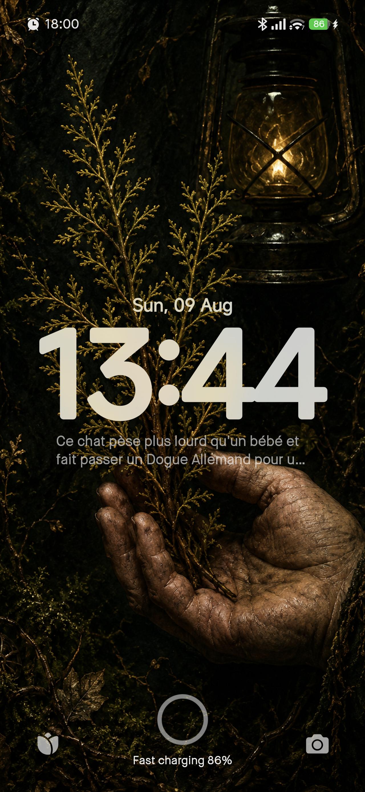 Nocturnal Foraging, Goblincore Lock Screen | Moth & Lantern Wallpaper | iPhone, Android Digital Set