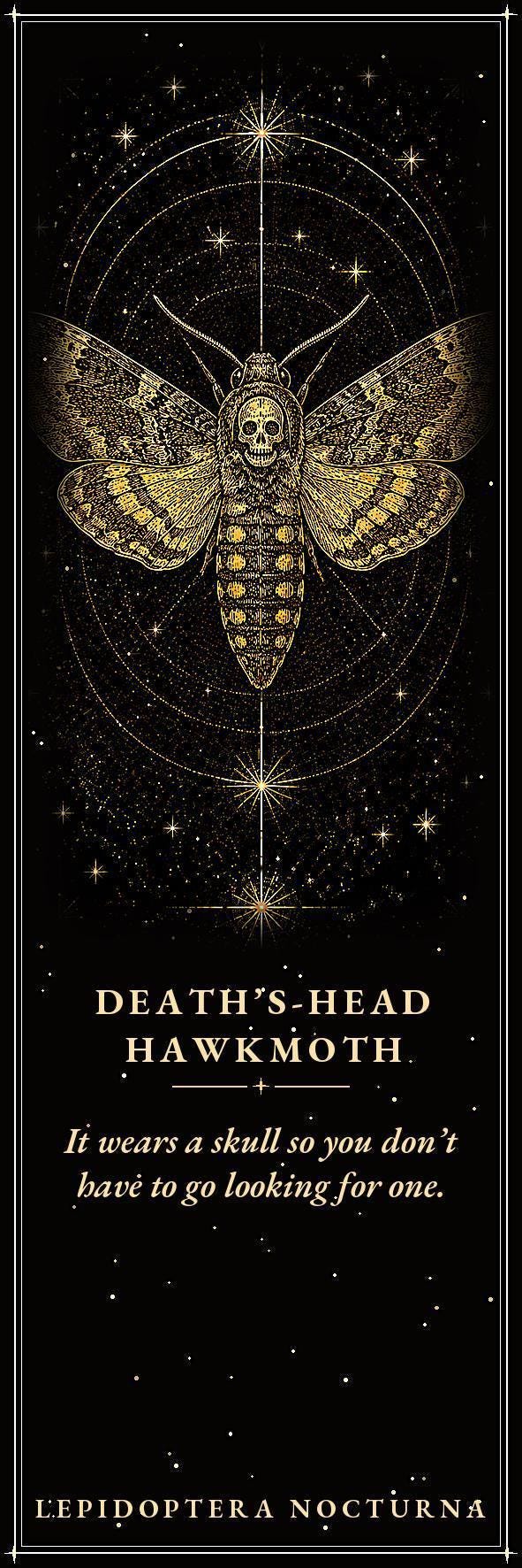 Lepidoptera Nocturna Bookmark, Victorian Moth Specimens | Gold Linework | Dark Academia Page Marker | Magnetic Option