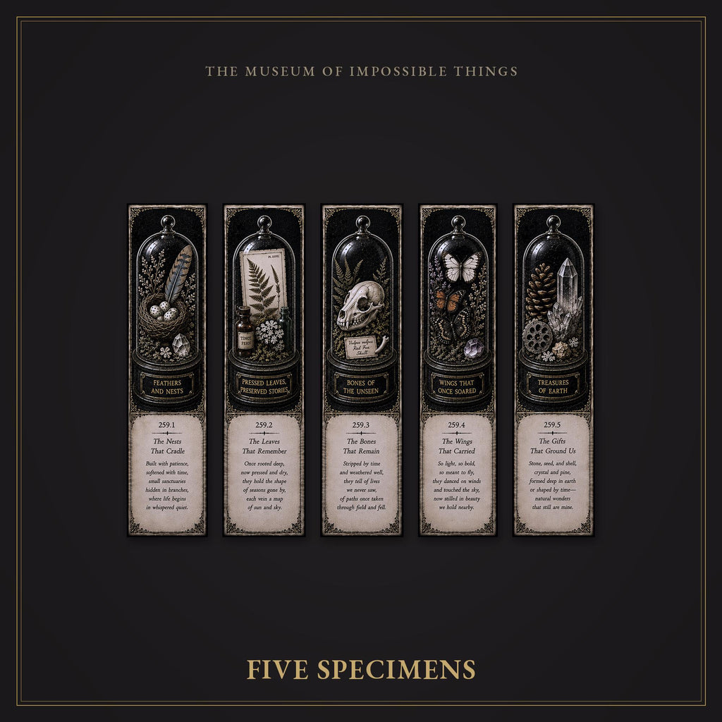 Wonders of the Wild Bookmark | Dark Academia Set of 5 | Standard or Magnetic | Gothic Cabinet of Curiosities