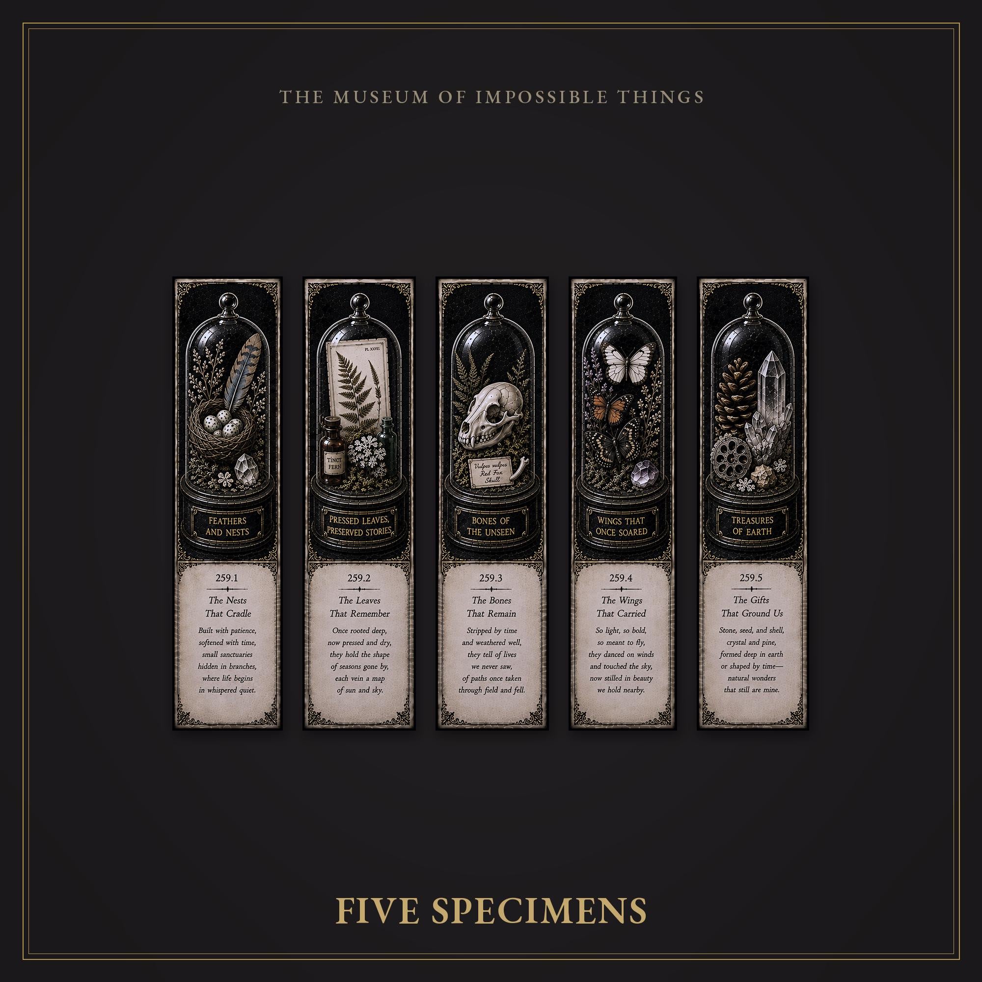 Wonders of the Wild Bookmark | Dark Academia Set of 5 | Standard or Magnetic | Gothic Cabinet of Curiosities