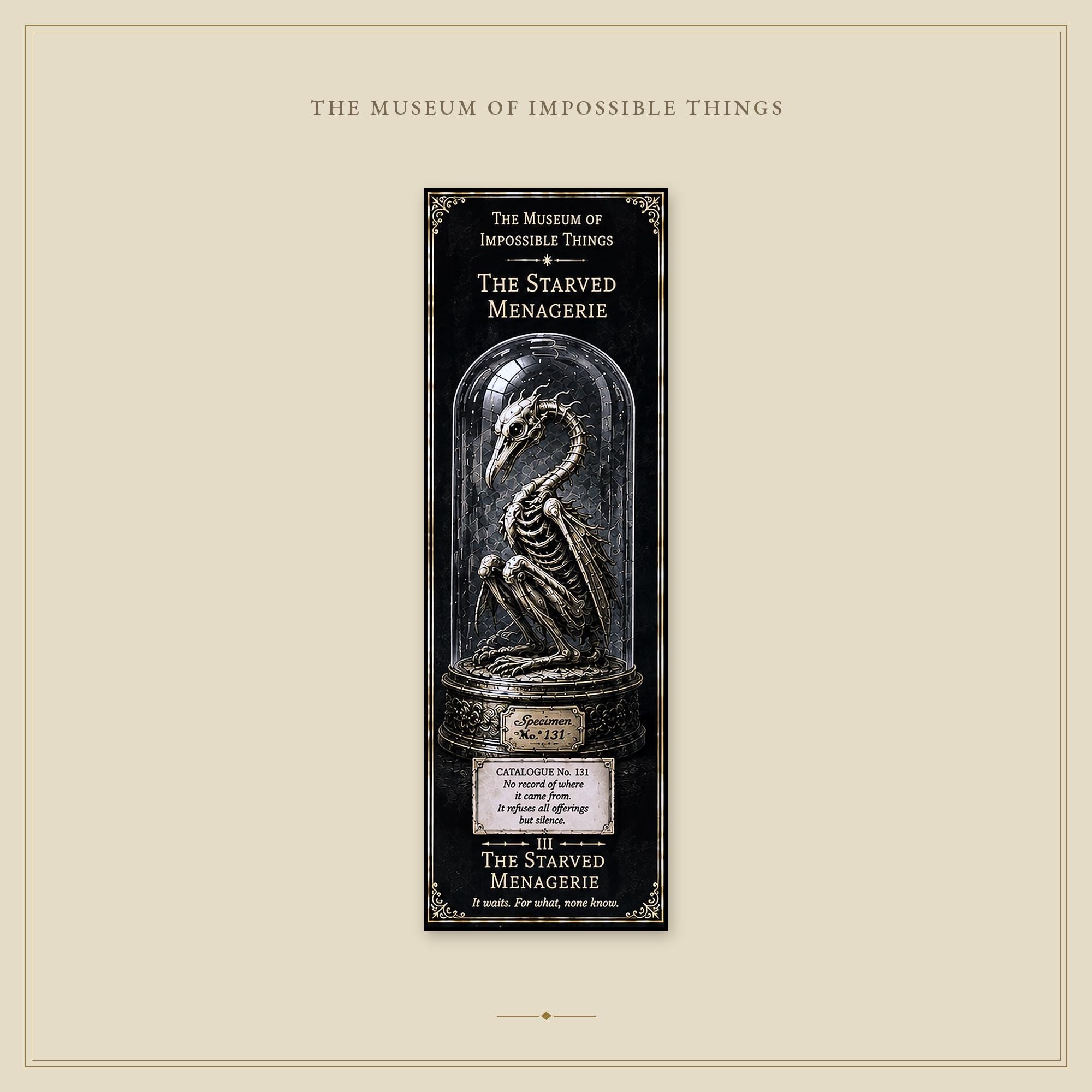 The Forgotten Exhibits Bookmark | Dark Academia Set of 5 | Standard or Magnetic | Gothic Cabinet of Curiosities
