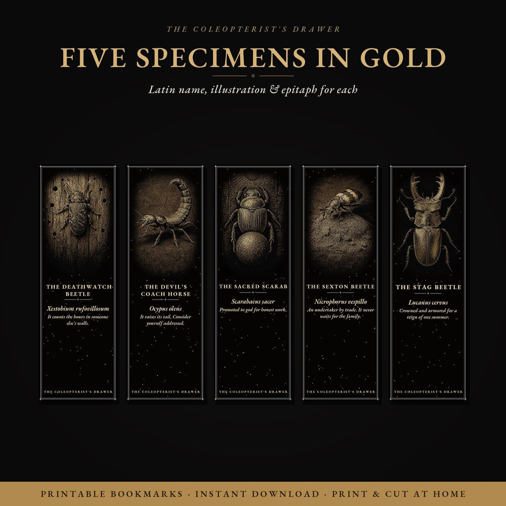 The Coleopterist's Drawer Bookmark | Gold On Black | Dark Academia Entomology | Magnetic Page Marker | Hand-Finished