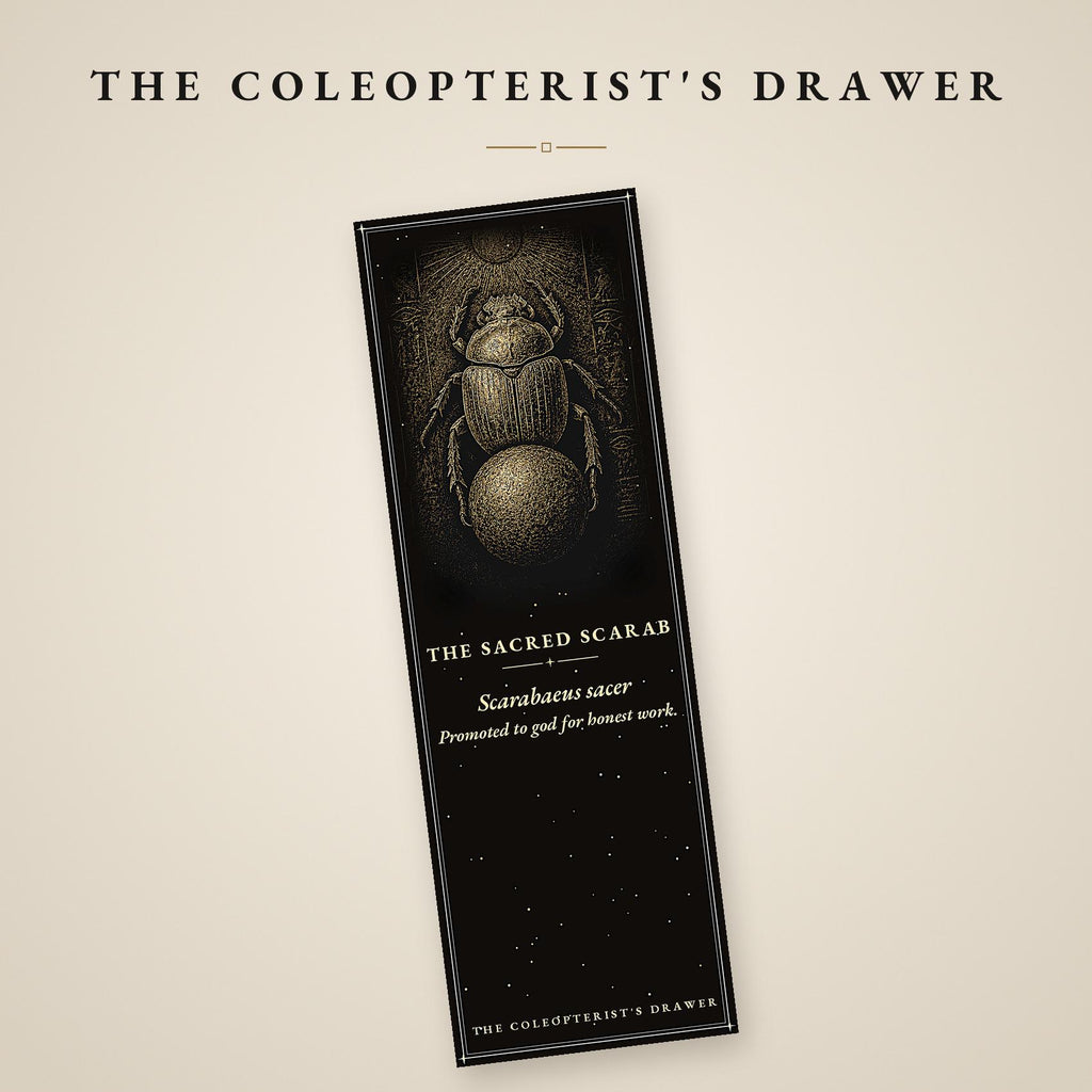 The Coleopterist's Drawer: Dark Academia Beetle Bookmarks | Gothic Printable | Digital Download, Occult Stationery