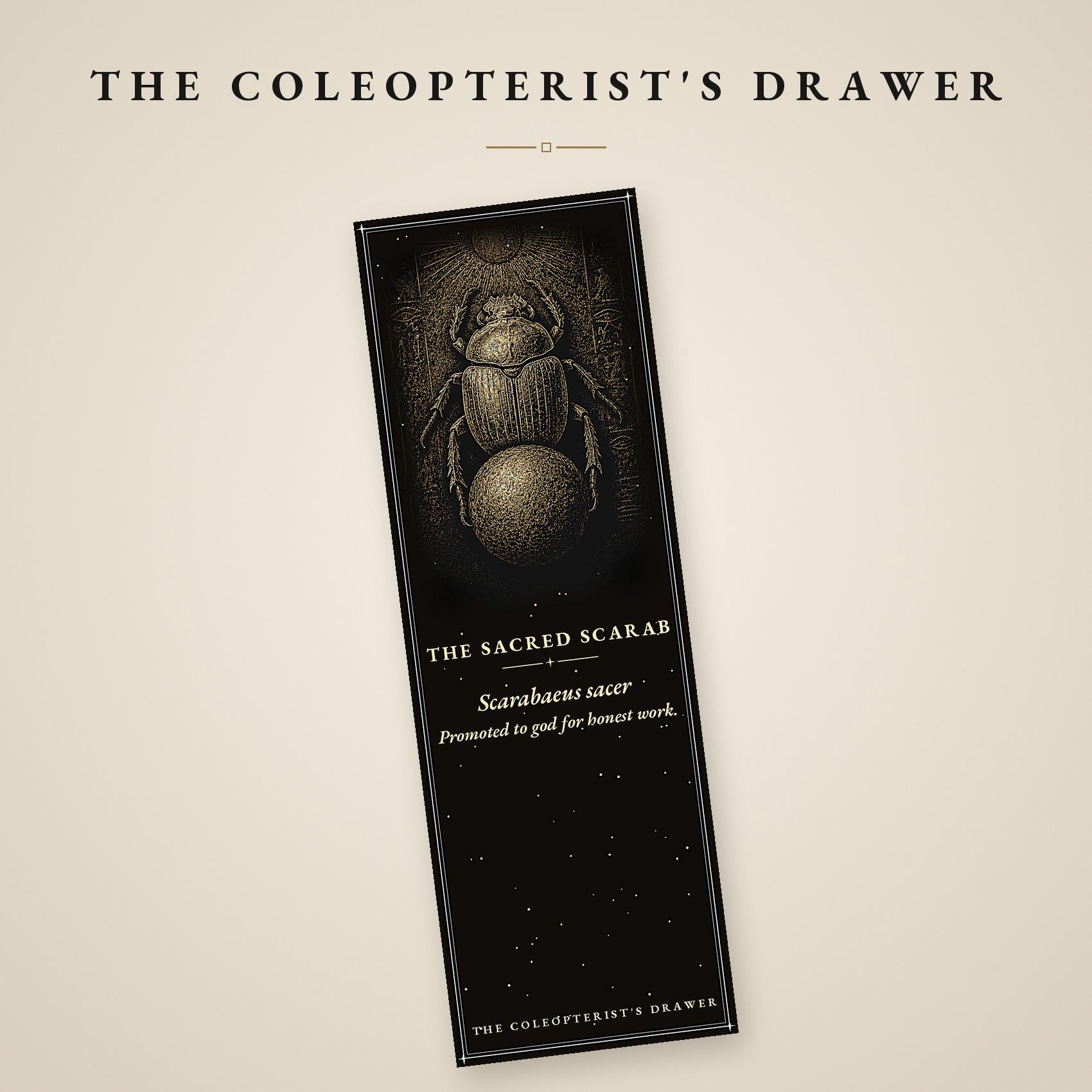 The Coleopterist's Drawer: Dark Academia Beetle Bookmarks | Gothic Printable | Digital Download, Occult Stationery