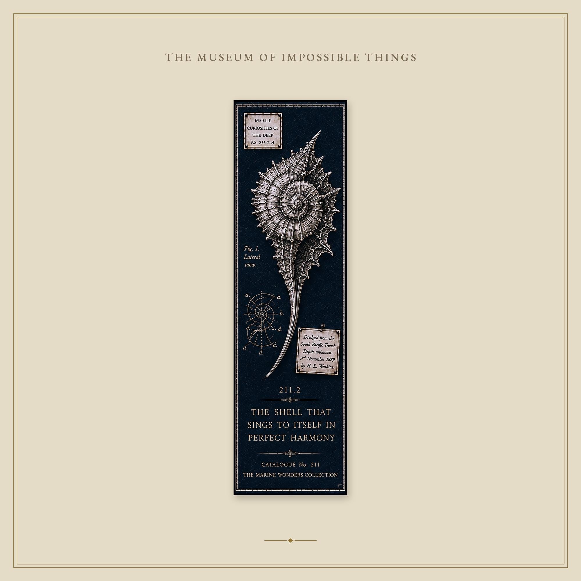 Marine Wonders Bookmark | Dark Academia Set of 5 | Standard or Magnetic | Gothic Cabinet of Curiosities
