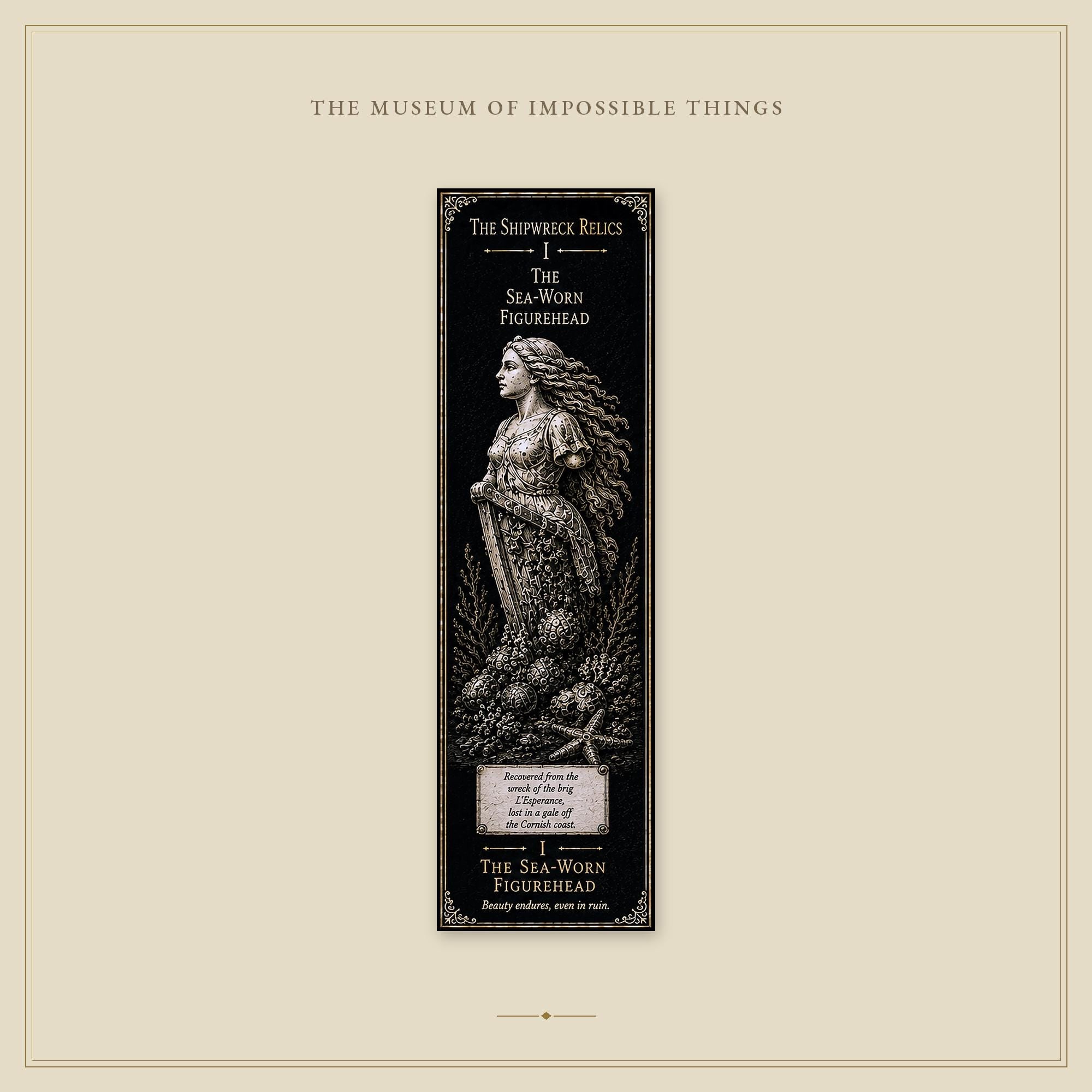 The Shipwreck Relics Bookmark | Dark Academia Set of 5 | Standard or Magnetic | Gothic Cabinet of Curiosities