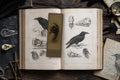 Ravens & Bird Skulls Biomechanical Bookmark | Dark Academia Gothic | Magnetic Page Marker | Anatomical Art for Book Lovers