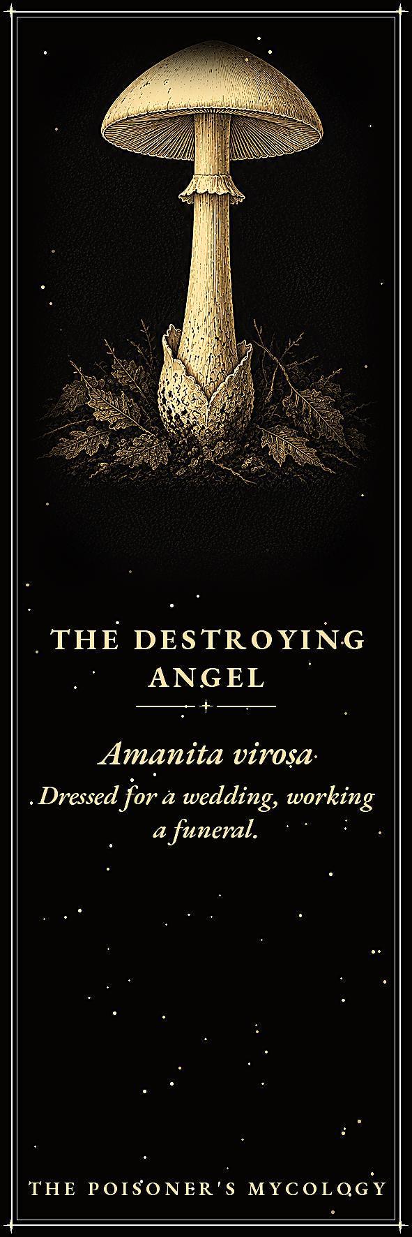 The Poisoner's Mycology Bookmark, Dark Academia Fungi | Gold Illustration | Magnetic Or Standard Page Marker