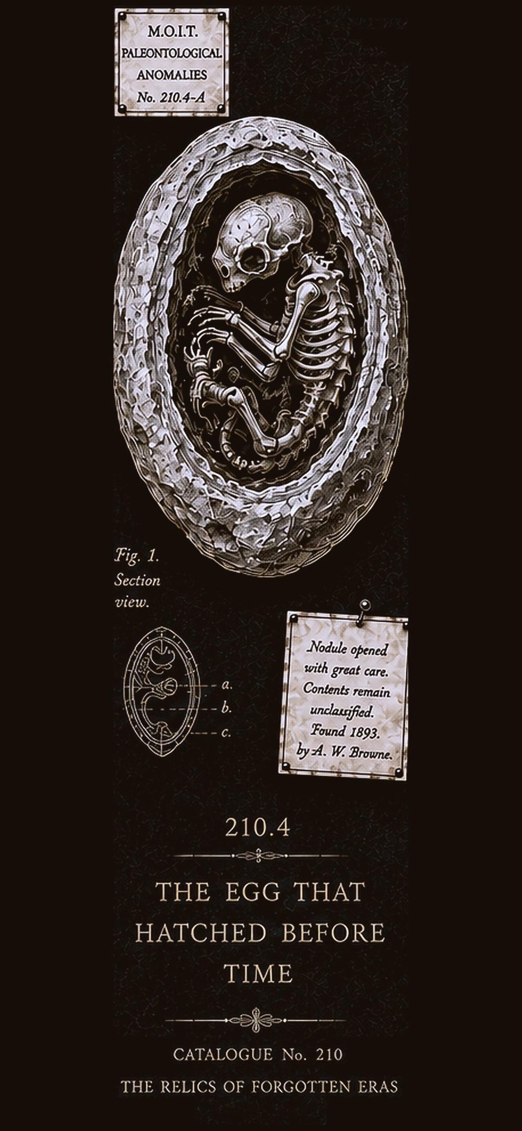 Relics of Forgotten Eras, Dark Academia Lock Screen | Specimen Collection, Gothic Phone Wallpaper, Instant Download
