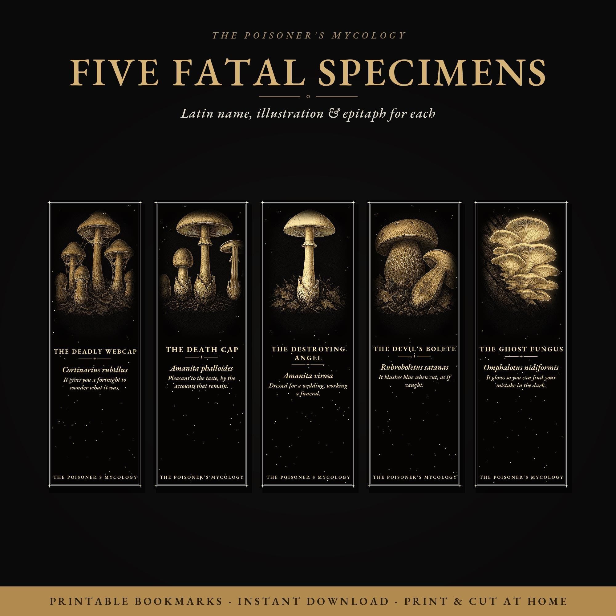 The Poisoner's Mycology Bookmark, Dark Academia Fungi | Gold Illustration | Magnetic Or Standard Page Marker