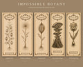 Impossible Botany Bookmark Set of 5 | Dark Academia Botanical Specimen Bookmarks | Cabinet of Curiosities | Book Lover Gift