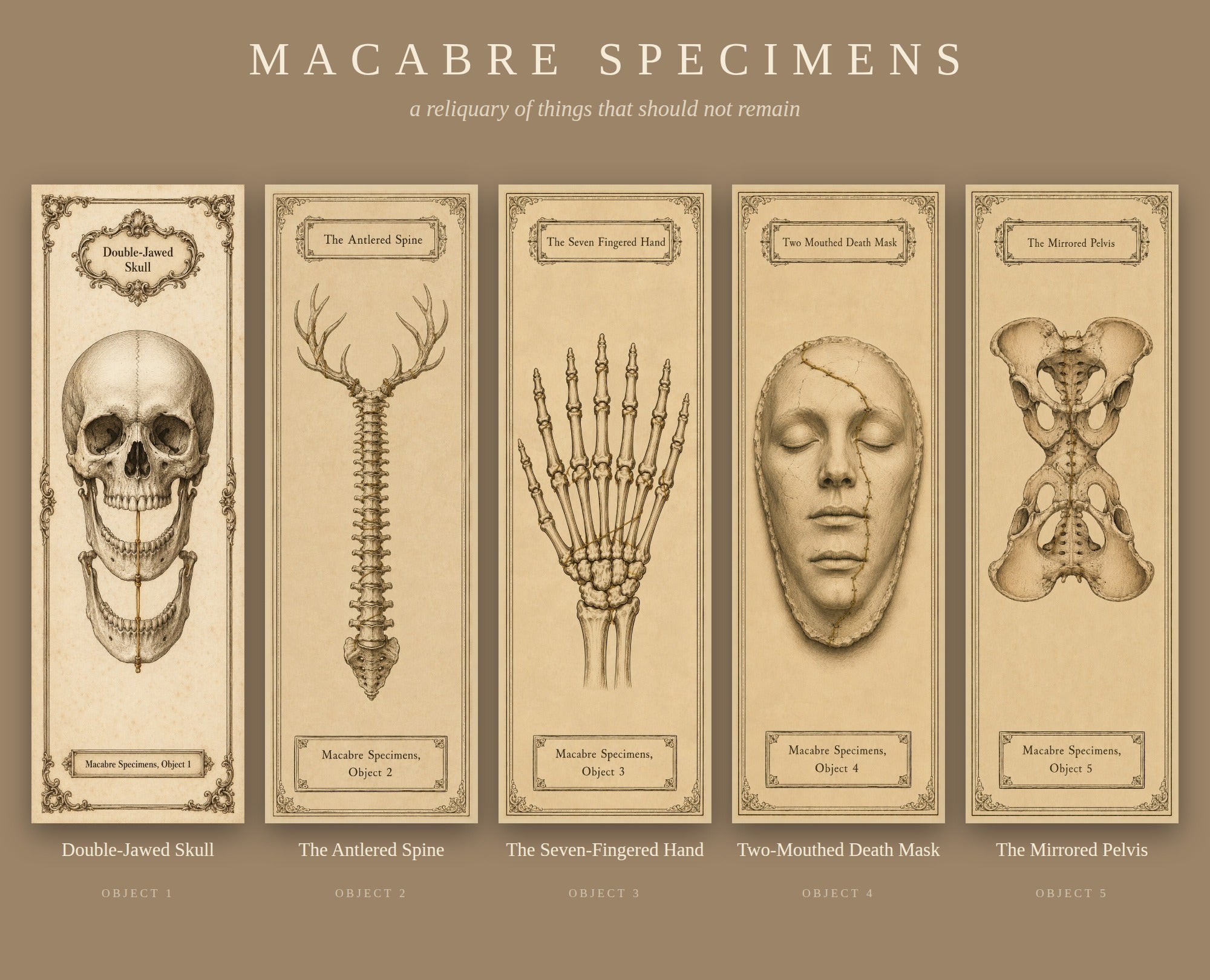 Macabre Specimens Printable Bookmark Set | Gothic Memento Mori Specimen | Instant Digital Download | Book Lover Gift
