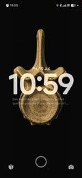 The Whalebone Curiosities Phone Wallpaper Bundle | Dark Academia Lock Screen | Victorian Whaling | Digital Download Set of 5