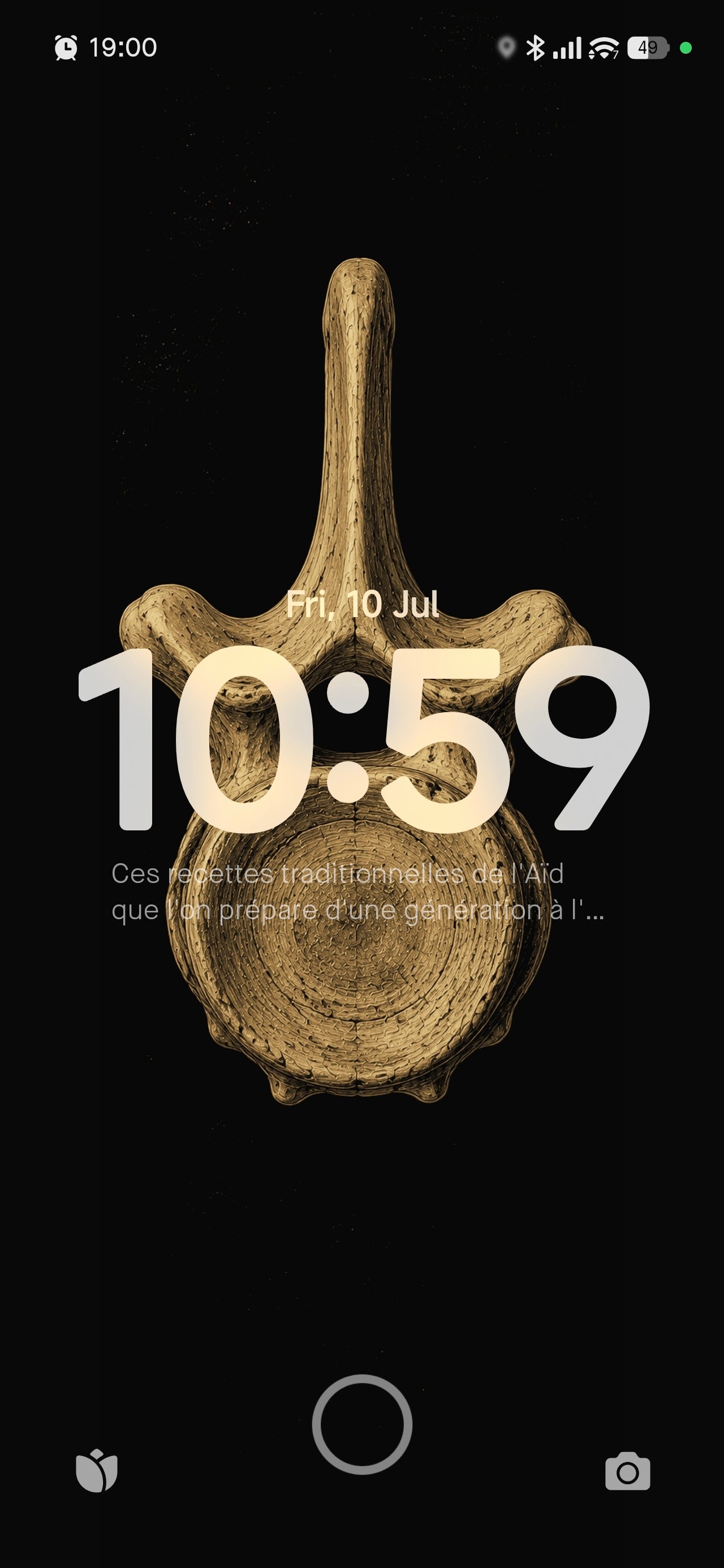 The Whalebone Curiosities Phone Wallpaper Bundle | Dark Academia Lock Screen | Victorian Whaling | Digital Download Set of 5