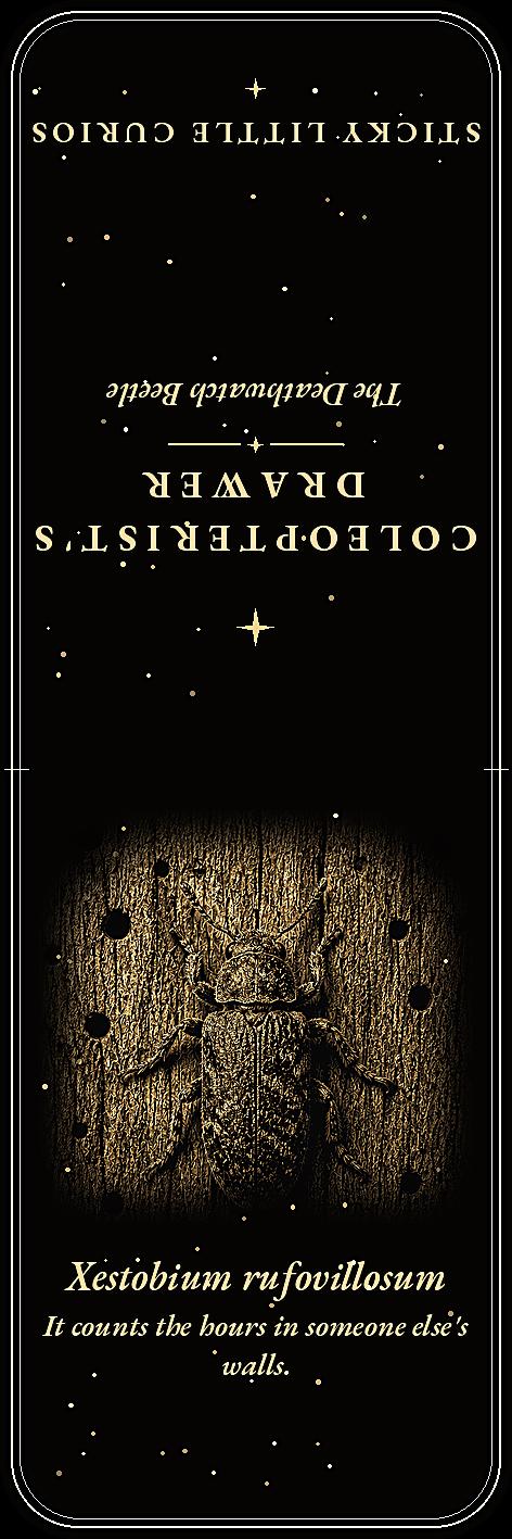 The Coleopterist's Drawer Bookmark | Dark Academia Beetle Entomology Bookmark | Standard or Magnetic Page Marker
