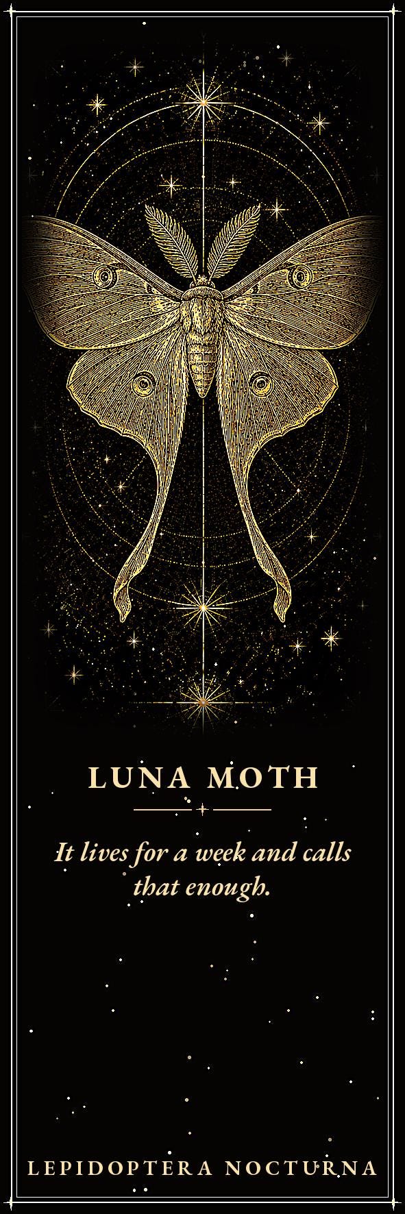 Lepidoptera Nocturna, Victorian Specimen Cabinet | Dark Academia Moth Bookmark | Gold Linework Printable | Five Species Illustrated