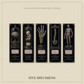 Anatomical Specimens Bookmark | Dark Academia Set of 5 | Standard or Magnetic | Gothic Cabinet of Curiosities
