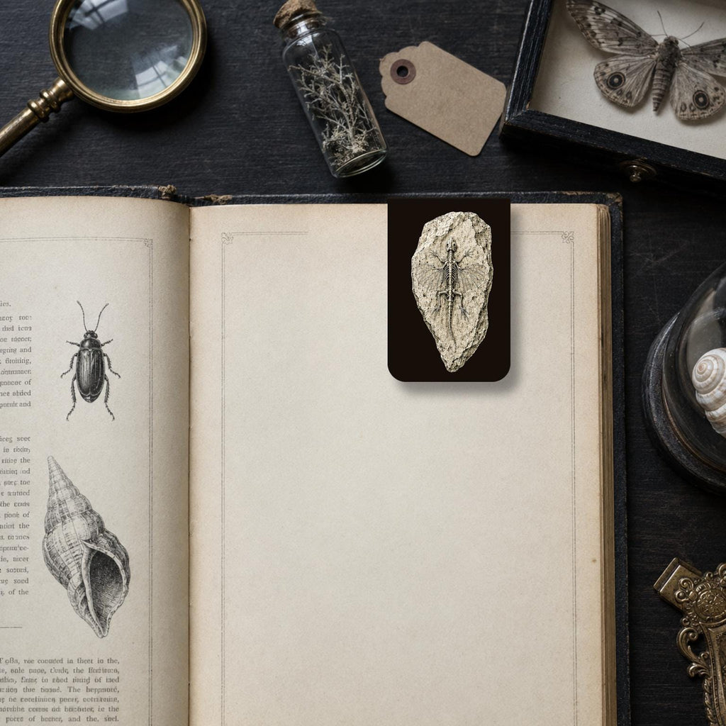 Relics of Forgotten Eras Bookmark | Dark Academia Set of 5 | Standard or Magnetic | Gothic Cabinet of Curiosities