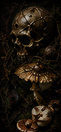 Dark Goblincore Skull Mushroom Lock Screen | Moody Forest Phone Wallpaper (Digital Download)