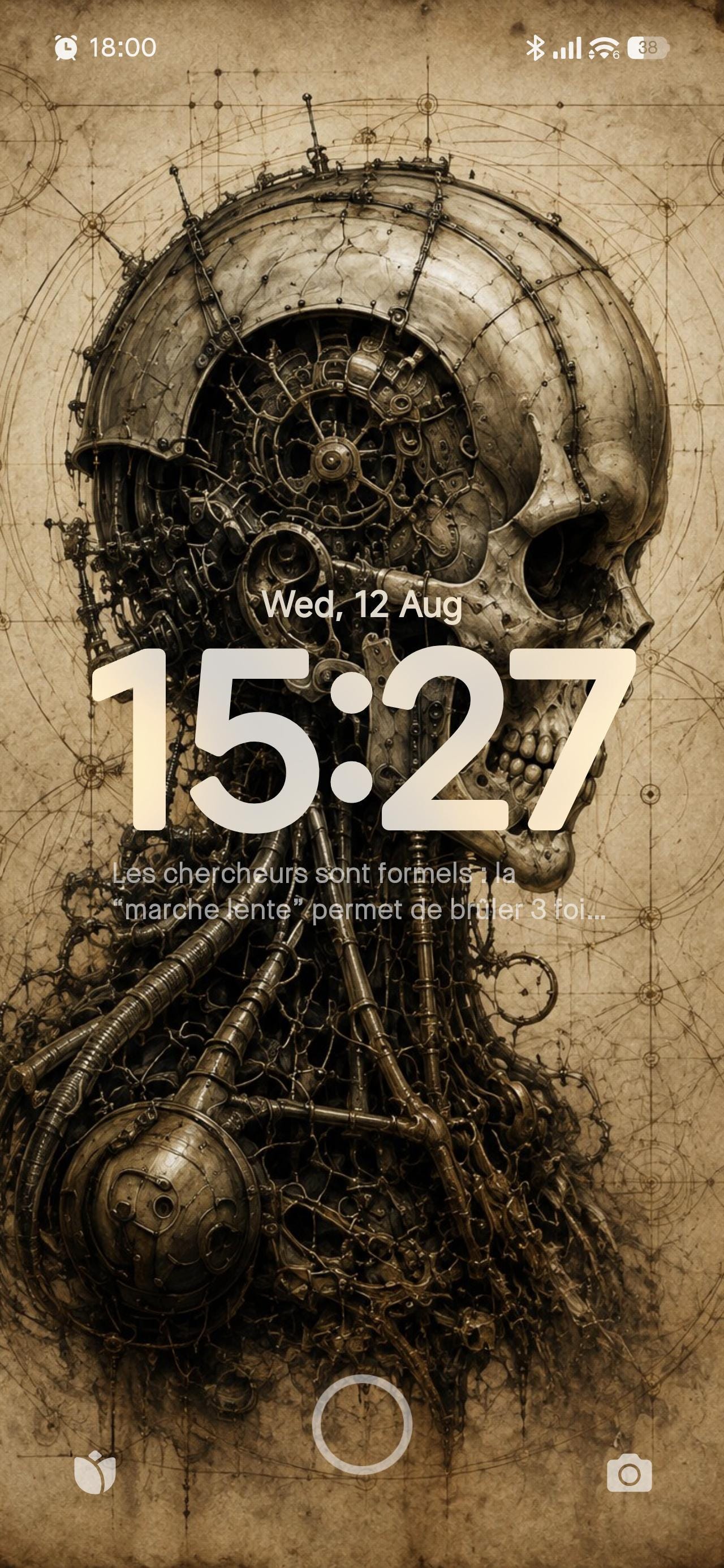 Skull Figure Biomechanical Wallpaper | Dark Academia Lock Screen | Brass Bone Anatomy | Gothic Sci-Fi Digital Download