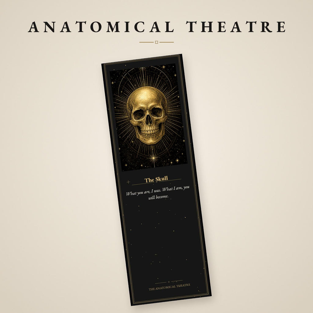 The Anatomical Theatre Printable Bookmarks | Dark Academia Vanitas Bookmark Set | Memento Mori Gothic Digital Download