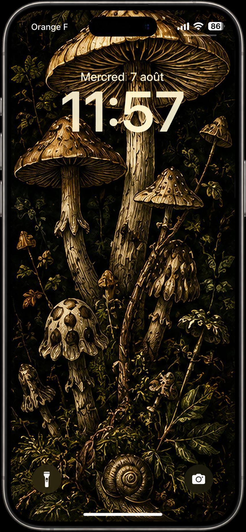 Goblincore Phone Wallpaper Bundle | The Curious Naturalist | Cottagecore Woodland Lock Screen | Mushroom Fern Snail