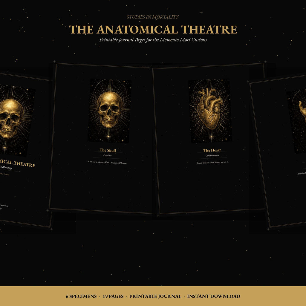 Anatomical Theatre Journal Pages | Dark Academia Memento Mori Notebook (Digital Download)