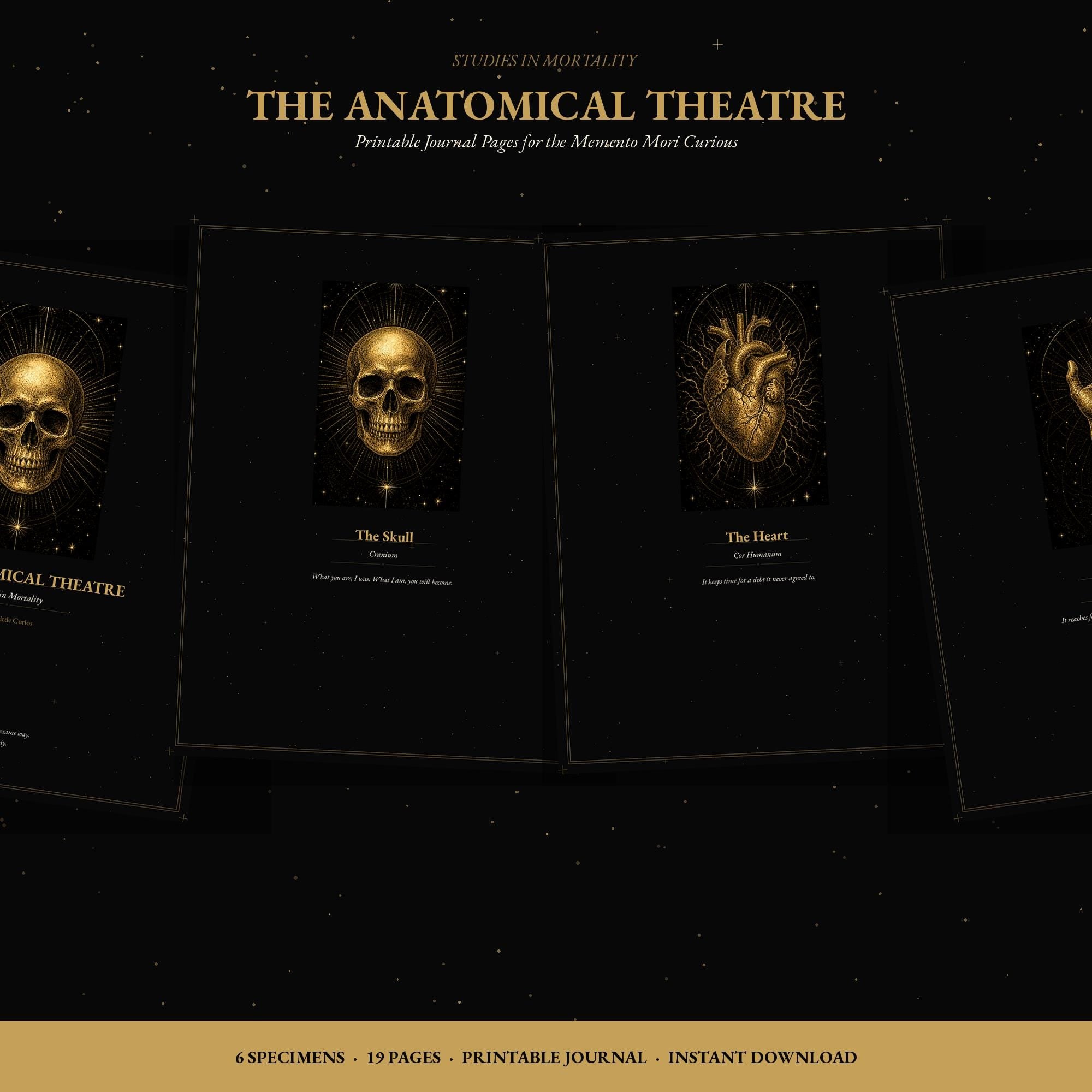 Anatomical Theatre Journal Pages | Dark Academia Memento Mori Notebook (Digital Download)