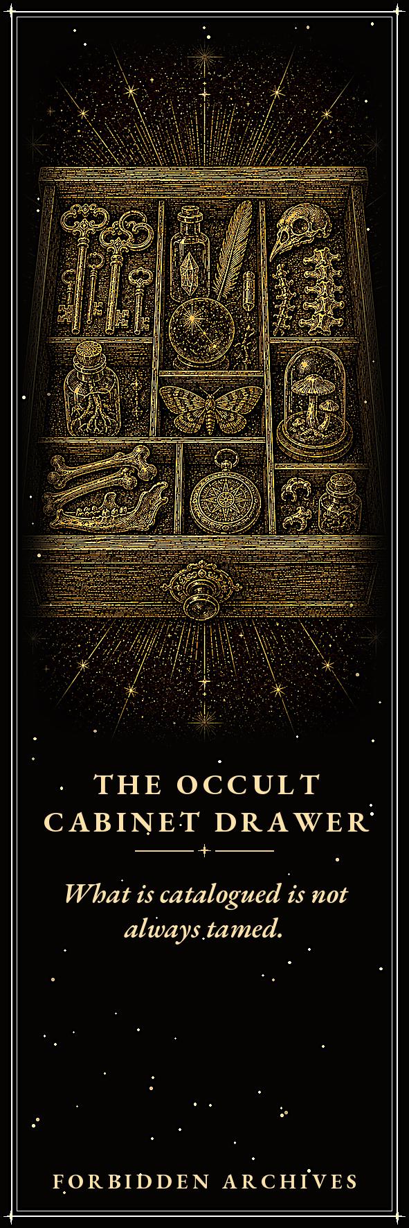 Forbidden Archives Printable Bookmarks, Dark Academia Gothic | Occult Library Designs | Instant Digital Download | Scholars Skull