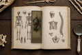Bones & Anatomy Biomechanical Bookmark | Dark Surreal Specimens | Gothic Page Marker | Book Lover Gift