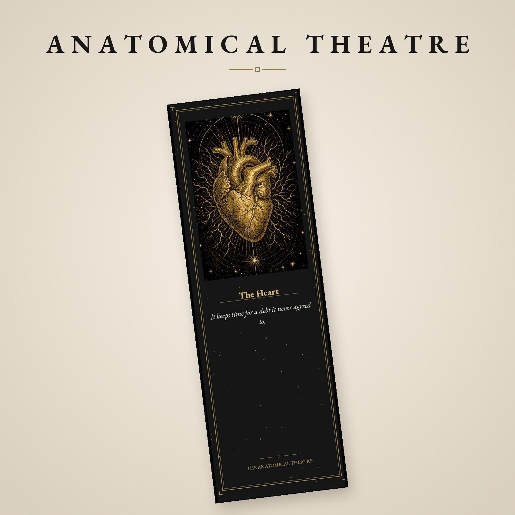 Anatomical Theatre Bookmark, Memento Mori Art | Dark Academia | Gold On Black | Page Marker | Vanitas Gift